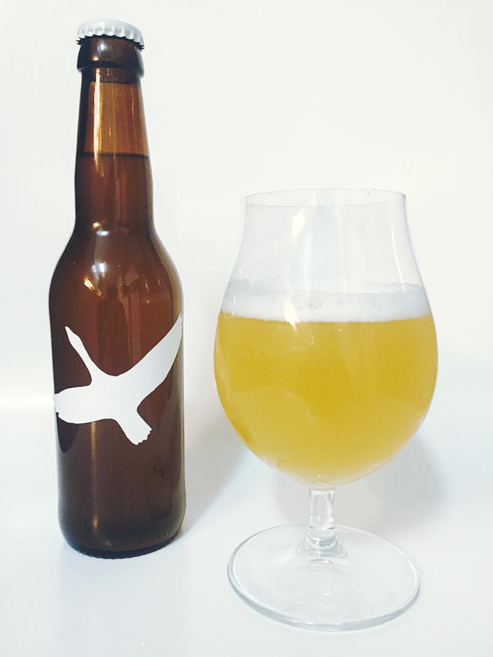 Mango Ginger Gose by Anders Rosdahl